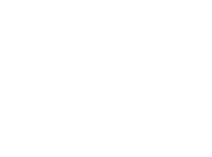 umkm cerdas pajak logo footer